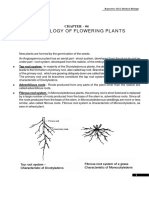Morphology of Flowering Plants