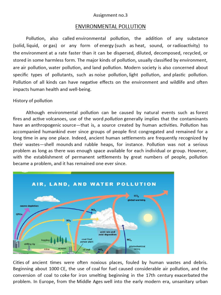 Understanding Environmental Pollution | PDF | Sewage Treatment | Water ...