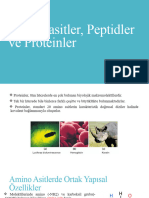 Amino Asitler Peptidler Ve Proteinler