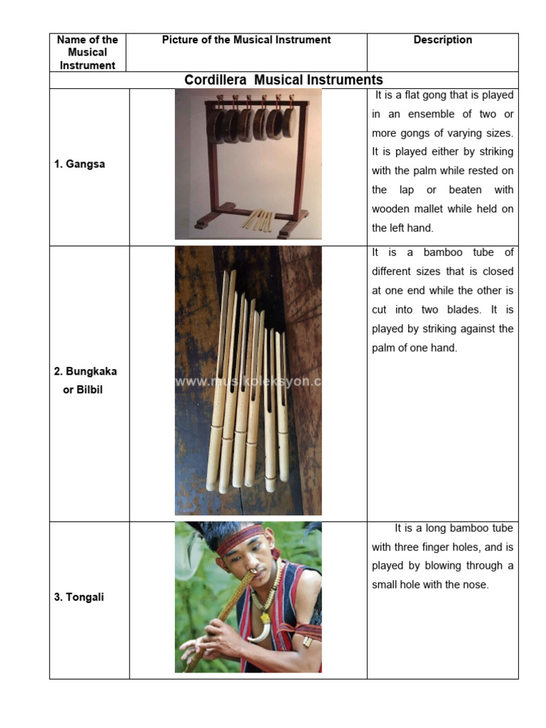 Name of The Musical Instrument | PDF | Musical Instruments | String ...