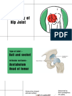 Anatomy of Hip of Joint - 20240229 - 071104 - 0000
