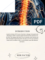 Spinal Cord Injury