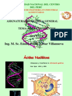 Acidos Nucleicos Fundamento