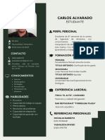 Currículum Profesional Monocromático Verde - 20240129 - 100305 - 0000