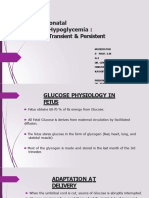Yusuf Transientpersistenthypoglycemia 140620152304 Phpapp01