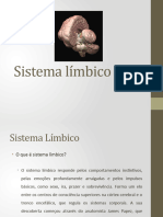 Sistema Límbico