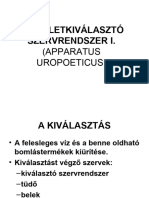 Vizeletkiv Rendsz 1