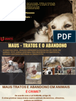 Brown Feline Diseases Treatment Veterinary Medicine Presentation