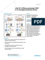 Disruption of The Na+K+-ATPase-purinergic P2X7 Receptor Complex in Microglia Promotes Stress-Induced Anxiety N