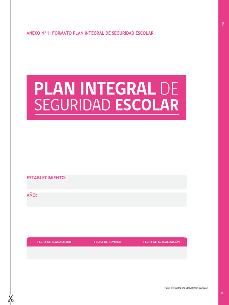 Formato PISE para Seguridad Escolar | PDF | Educación de la primera ...