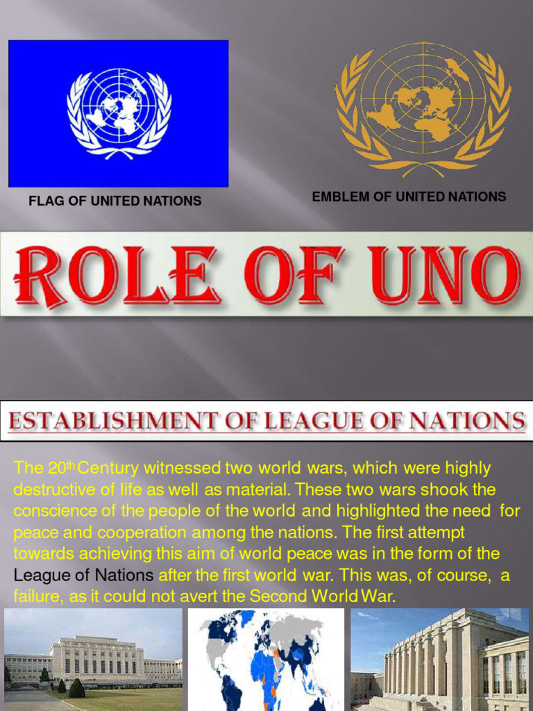 Formation and Purpose of the UN | PDF | United Nations | International ...