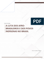 A Luta Dos Afro-Brasileiros e Dos Povos Indígenas No Brasil