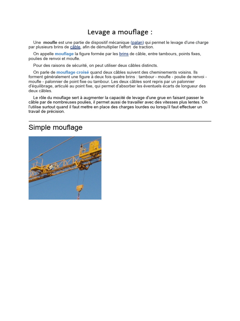 Techniques de mouflage pour levage | PDF