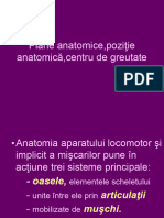 Anatomie PDF LP Si Curs Taina