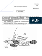 Fao Species Identification Sheets Fishing Area 51 (W. Italian Ocean)
