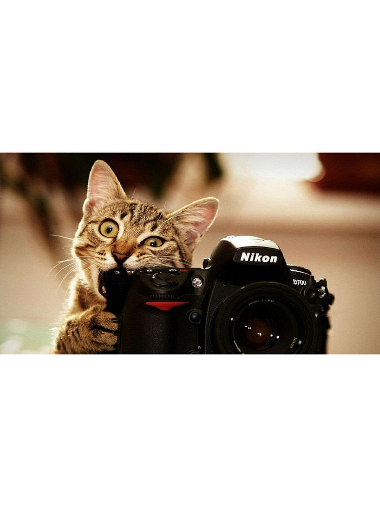 2 579 062 ONLINE LESSEN visual data 2