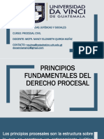 Principios Procesales