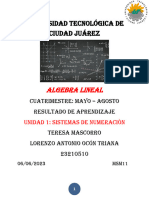 UNIVERSIDAD Tecnológica DE CIUDAD Juárez: Algebra Lineal