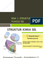 Osn-Bsm 1 Struktur Sel