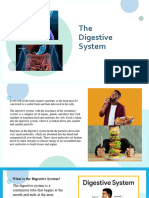 06 Digestive System