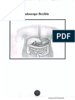 Endoscope Flexible