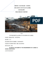 EMMANUEL KALENGA MULENGA - Geography Field Project Report, MINING.