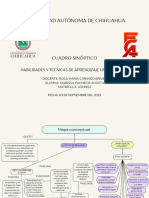 Cuadro Sinóptico...