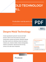 Mold Technology Matrite Injectie
