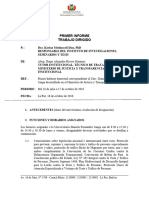 Primer Informe Semestral - Daniela Fernandez 1 - Copia (425418589)
