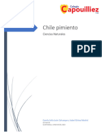 Chile Pimiento
