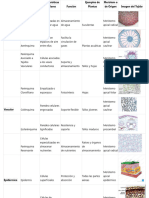 Documento