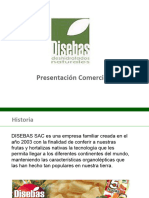 Disebas Business Presentation