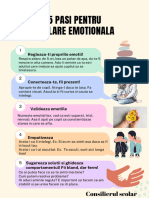 5 Pasi Pentru Reglare Emotionala