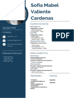 CV Sofia Valiente - PDF - 20240212 - 134300 - 0000