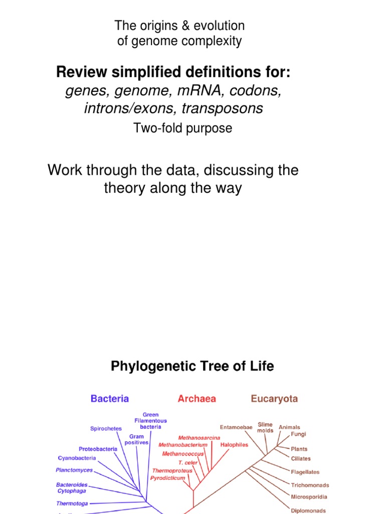 Evolution of Genome Complexity Explained | PDF