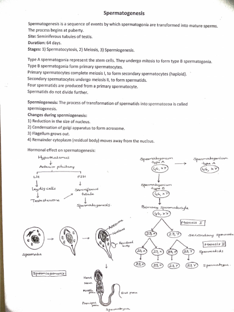 Embryology PDF