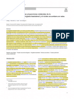 Shih (2023), Anatomical-Analyses-Of-Collateral-P