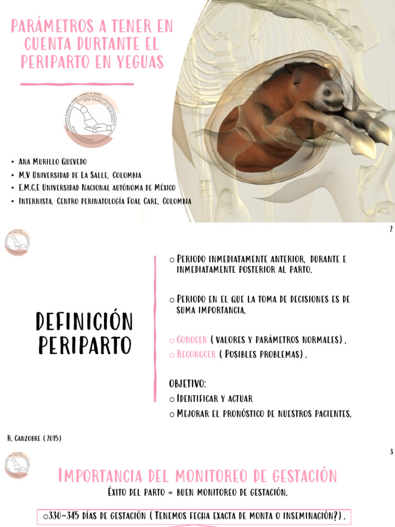 PERIPARTO YEGUA | PDF | Feto | Parto