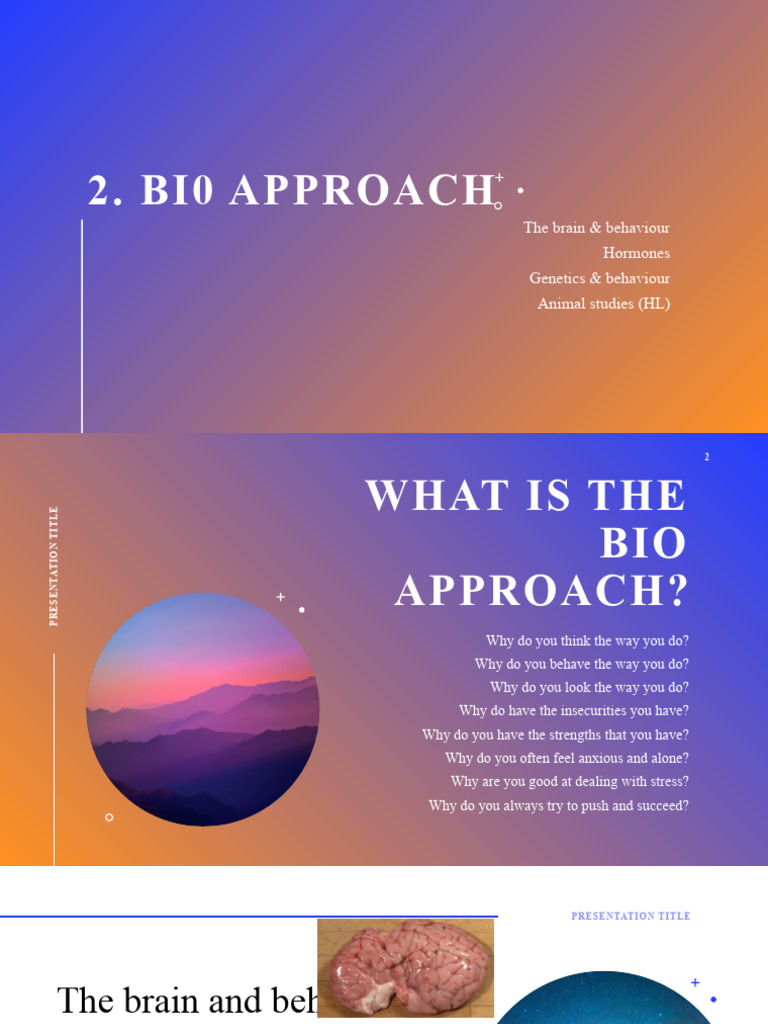 Understanding the Bio Approach | PDF | Functional Magnetic Resonance ...