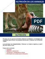 T 11 NUTRICIÓN ANIMAL. Digestivo-2