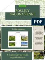 ROŚLINY