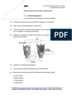 18guia 10 Anatomía