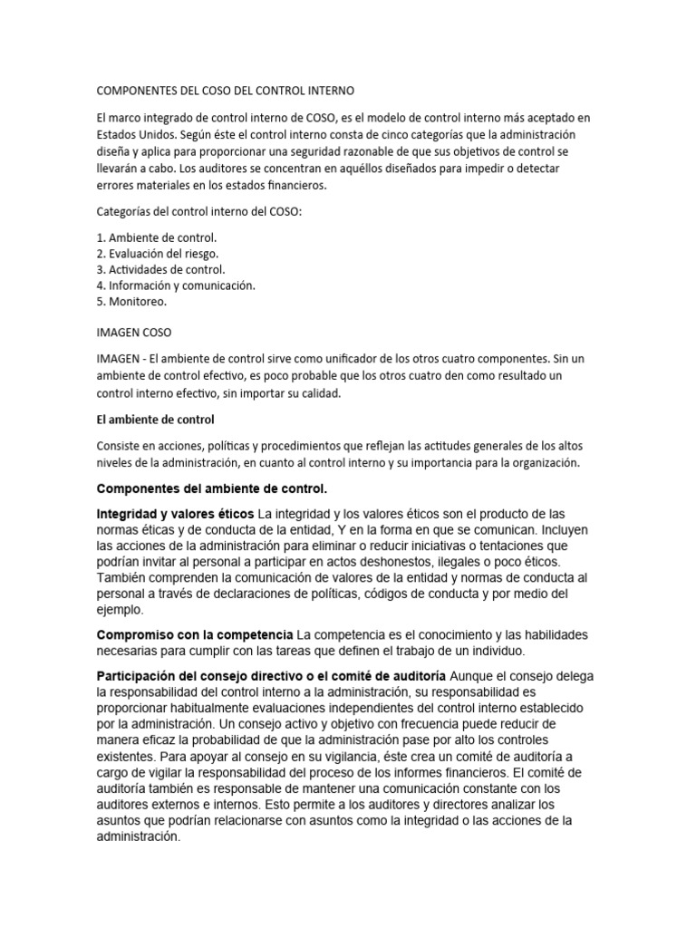 Componentes del Control Interno COSO | PDF | Contabilidad | Riesgo