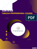 Tableau Professional 