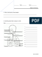 Excretory and Respiratory System D.quiz2
