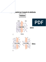 Forças Responsaveis Pela Difusão