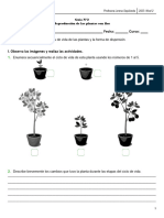 Guía N°2 Reproducción de Las Plantas Con Flor - Nivel 2