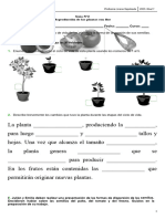 Guía N°2 Reproducción de Las Plantas Con Flor - Nivel 1
