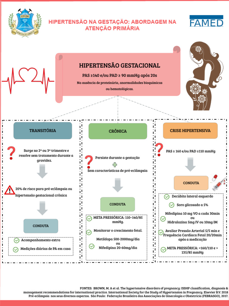 Abordagem da Hipertensão Gestacional | PDF | Hipertensão | Sistema ...