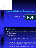 Mold